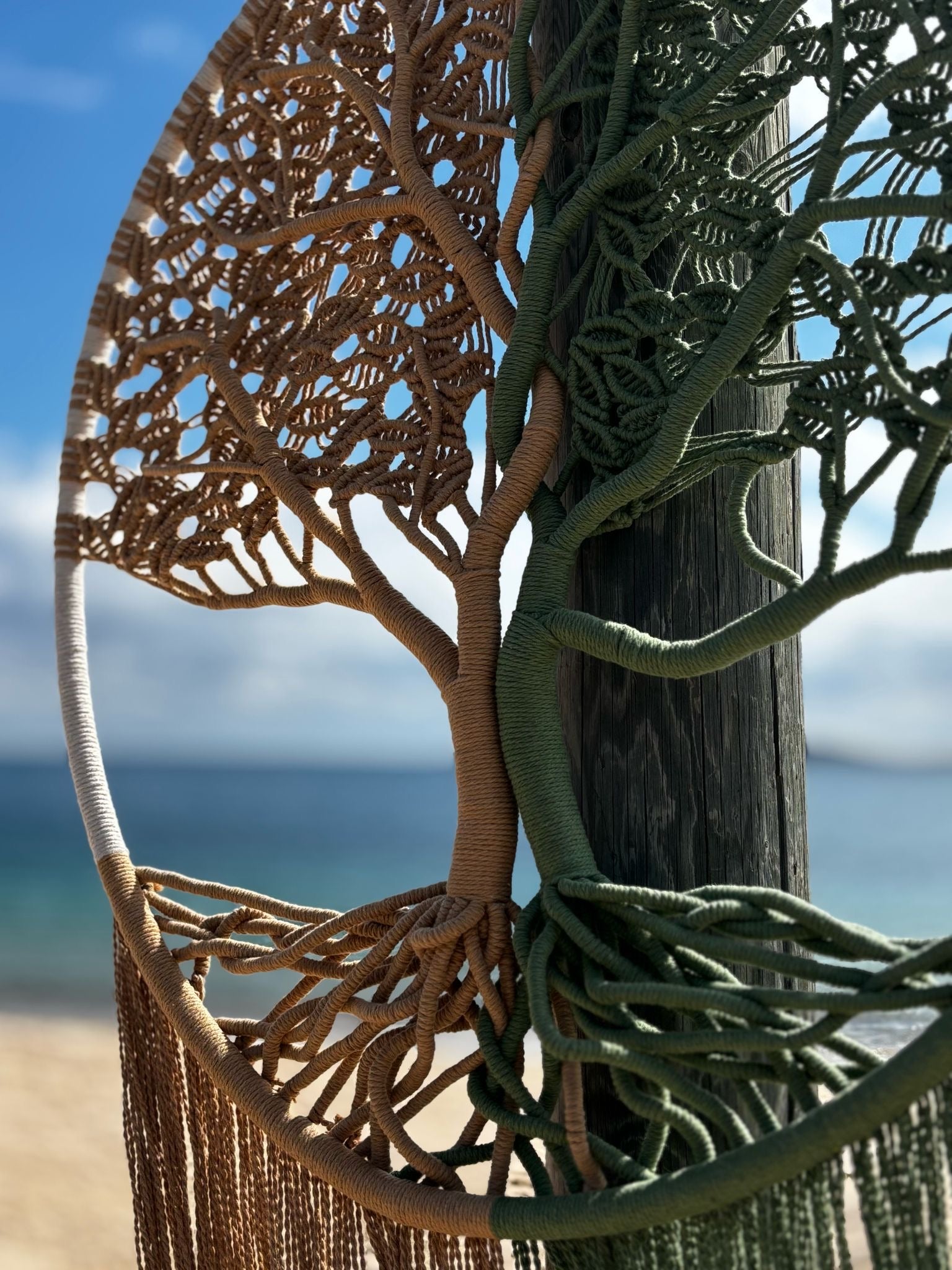 belle décoration mural arbre de vie en macramé couleur beige et vert délicatement tressée autour d'accrochée sur un tronc d'arbre à la plage. n cercle de 80 cm de diamètre