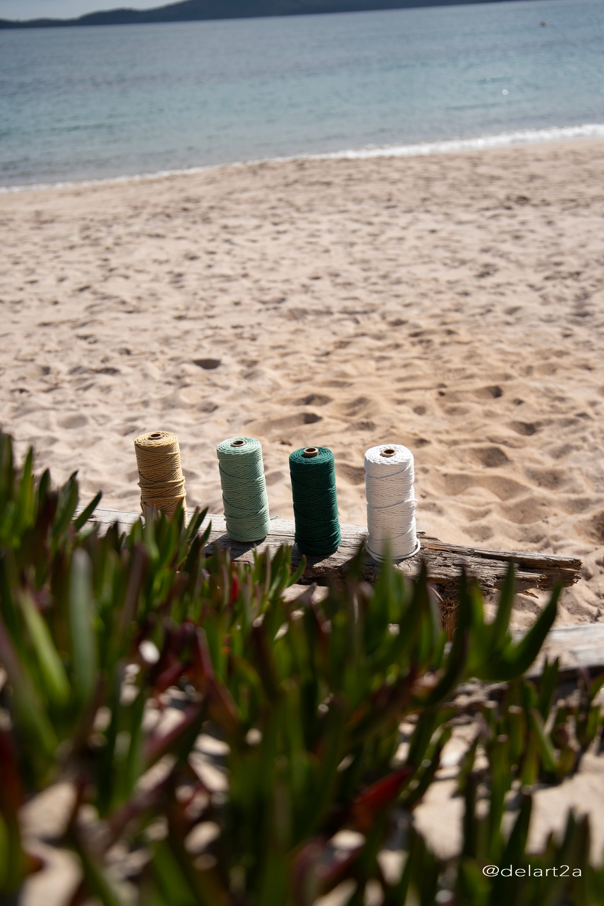 quatre bobines de fils jaune vert d'eau vert foncé blanc posées droites sur une souche à la plage avec la mer en fond et en premier plan de la végétation